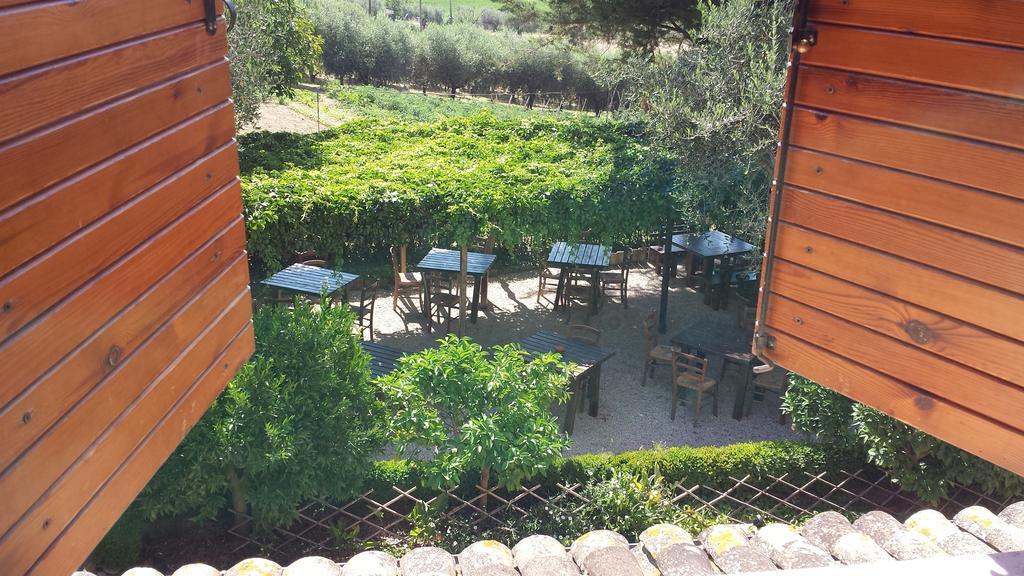 Agriturismo Col Morino Bed and Breakfast Pineto Habitación foto